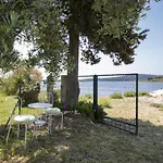 Villa House Olive Medolino