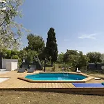 Villa House Olive