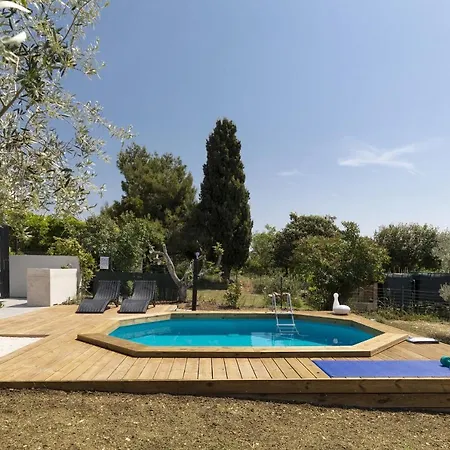 Villa House Olive