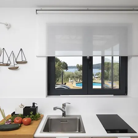 Villa House Olive Medulin