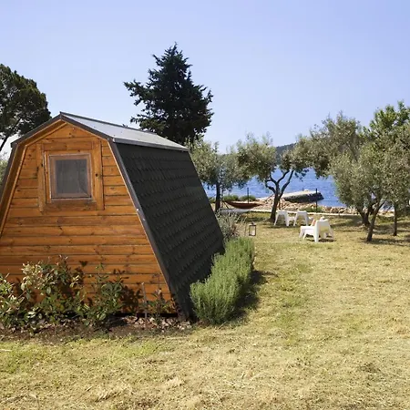 House Olive * Medulin
