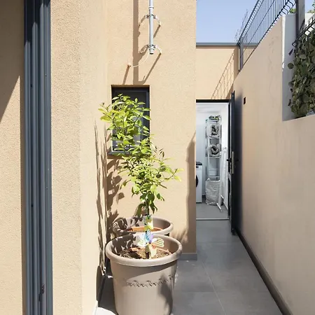 House Olive