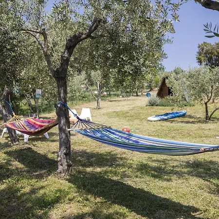 Villa House Olive *
