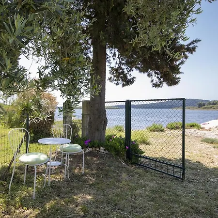 Villa House Olive Medulin