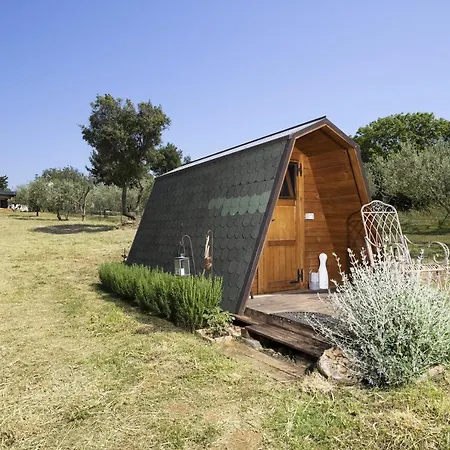 House Olive * Medulin