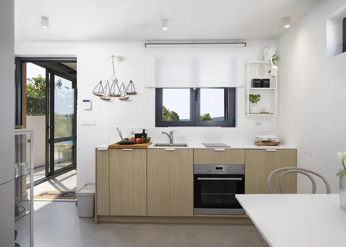 House Olive וילה *