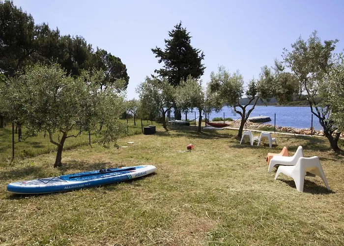 House Olive מדולין