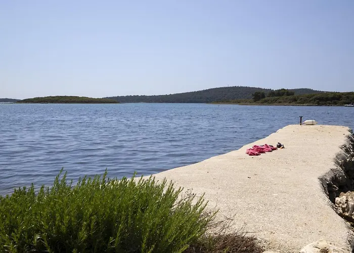 House Olive * מדולין