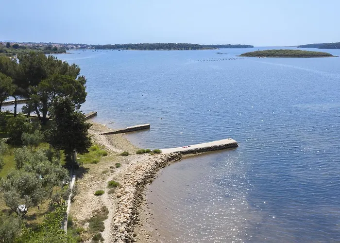 House Olive וילה *