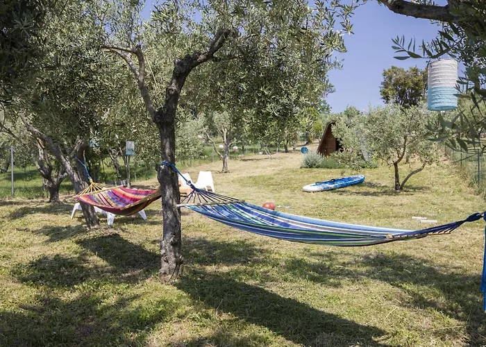 וילה House Olive *